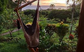 Finca Mystica