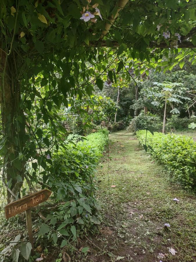 Finca Mystica Merida Exterior photo