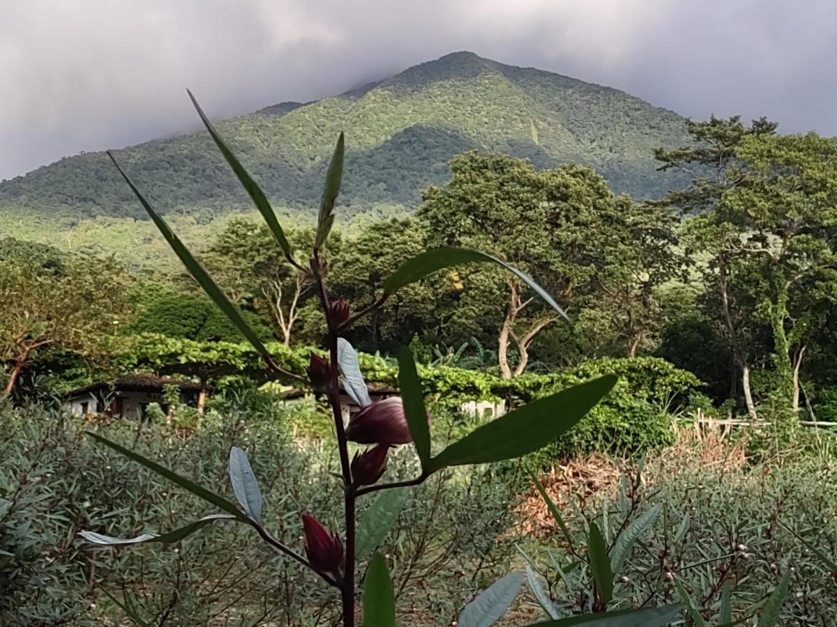 Finca Mystica Merida Exterior photo