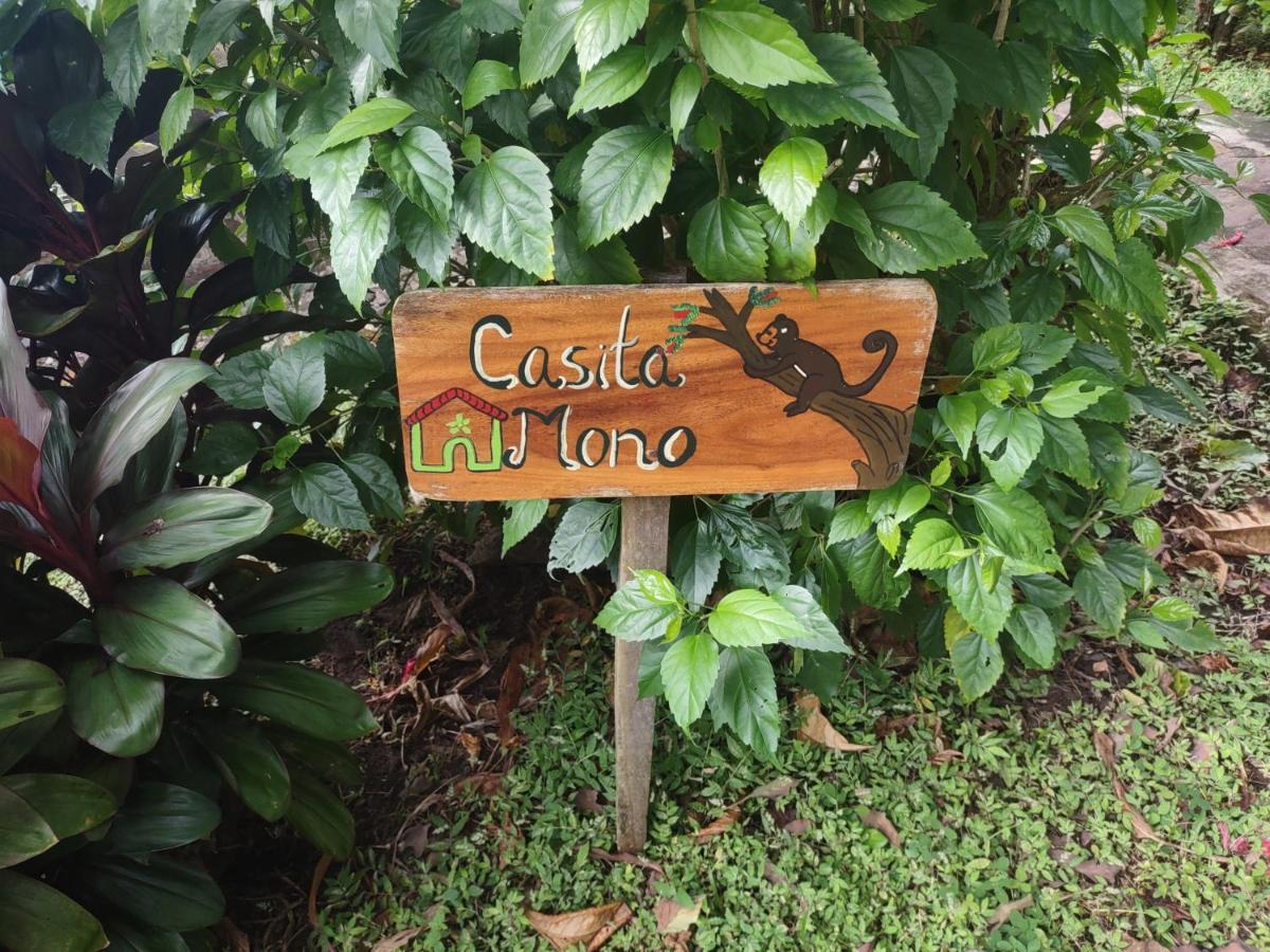 Finca Mystica Merida Exterior photo