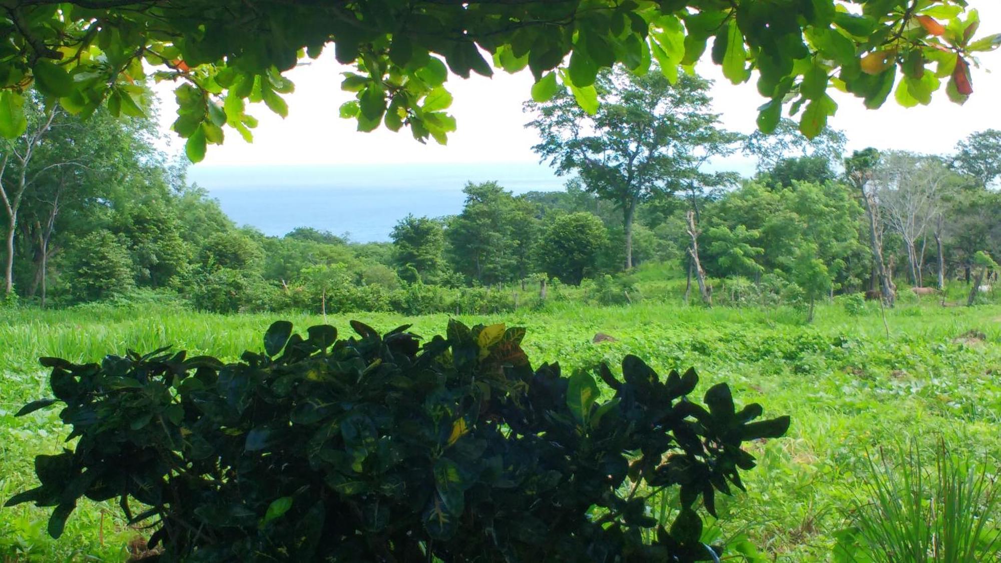 Finca Mystica Merida Room photo