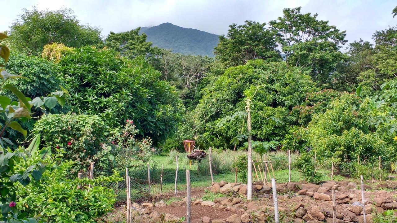 Finca Mystica Merida Exterior photo