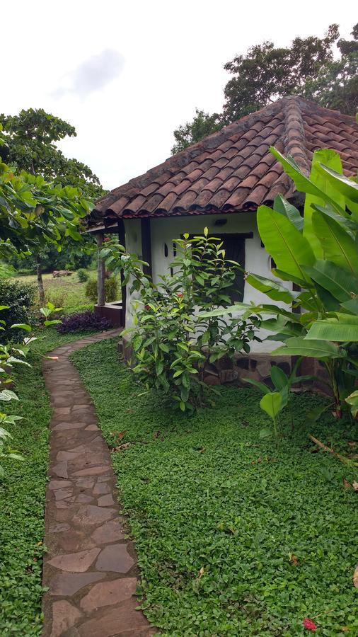 Finca Mystica Merida Exterior photo