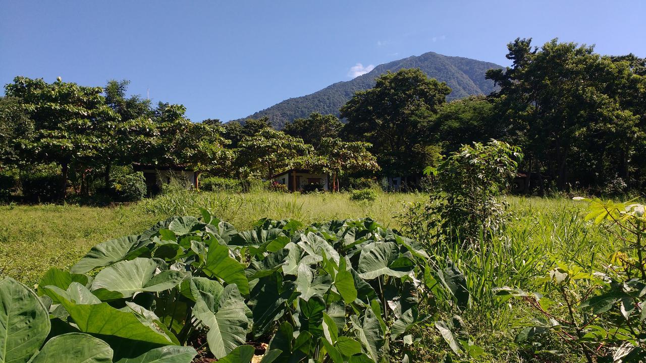 Finca Mystica Merida Exterior photo
