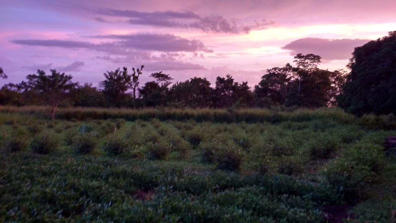 Finca Mystica Merida Exterior photo